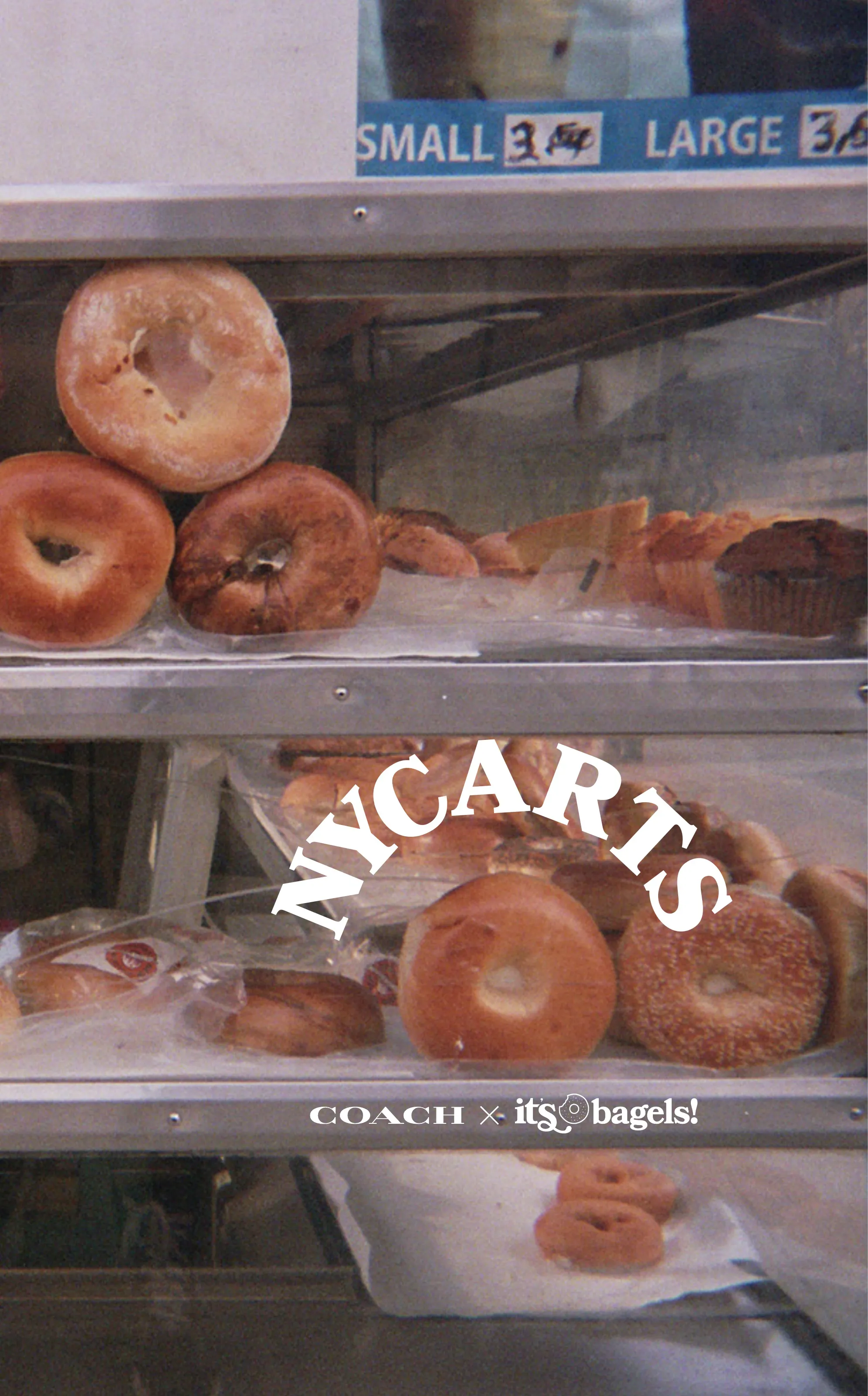 NYCarts — Coach × It's Bagels co-branded zine cover